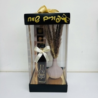 משלוח מנות מארז פורים שמח עציץ