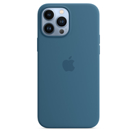 Apple Silicone Case Blue Jay