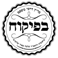 שעון מעורר לשבת ויום חול דיגיטלי נטען עם רטט וצלצול עוצמתי 