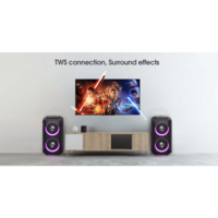 בידורית קריוקי 80W עם מיקרופון אלחוטי נטען W-KING T9 - יבואן רשמי