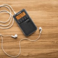 רדיו דיגיטלי טרנזיסטור כיס סאנג'ין SANGEAN DT-800 - שנתיים אחריות יבואן רשמי!