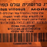 דג טרוטונית שלם