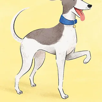 סנאפ! קלאסיקה מעולה- כלבים!