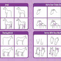 איך לצייר 501 דברים מעולים!