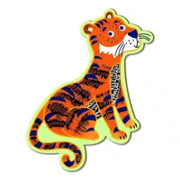 משחק חיות מגנטי לגירוד במארז מהודר