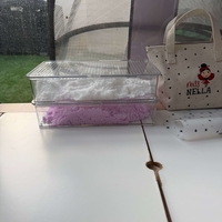 קופסאת אחסון עם מכסה