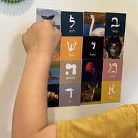 אותיות חיות- מגנטים