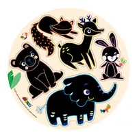 משחק חיות מגנטי לגירוד במארז מהודר