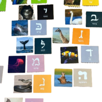 אותיות חיות- מגנטים