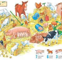 חפש ומצא 1001 דברים בחוה!