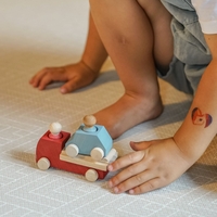 משאית גרר אדומה עם מכונית תכלת לובולונה