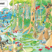 חפש ומצא 1001 דברים חיות!