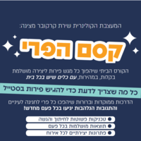 קורס דיגיטלי לעיצוב מגשי פירות