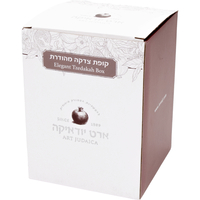 UK81191 קופת צדקה פולימר 14סמ