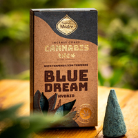 קטורת קונוס טבעית טרפנים קנבוס Blue Dream שלווה רוגע וחיבור פנימי Sagrada Madre