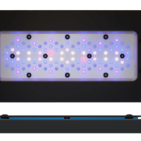 תאורת לד רדיון XR30 G6 BLUE 215W אקוטק מרין - ECOTECH MARINE Radion XR30 G6 BLUE Led lighting