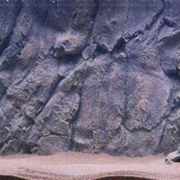 רקע תלת מימד סלעי דגם בורנאו 200X80 אקווריסטיק Aquarium Rocky 3D background Model Borneo