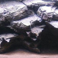 רקע תלת מימד סלעי דגם סומטרה 299X78 אקווריסטיק Aquarium Rocky 3D background Model Sumatra