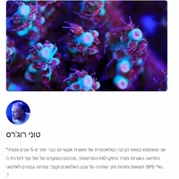תאורת לד הידרה HD32 צבע שחור אקווה אילומיניישן  - Aqua Illumination Hydra 32 HD Black