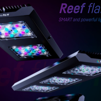 תאורת לד ריף פלייר פרו 80W ריף פקטורי צבע לבן - REEF FACTORY Reef flare Pro S White