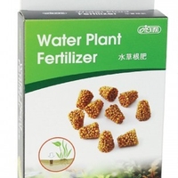 דשן תת קרקעי איסתא 10 יחידות - ISTA Water Plant Fertilizer Ball 10 pcs