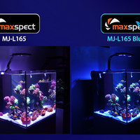 תאורת לד MJ L165 מקספקט - Maxspect LED MJ L165
