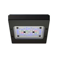 תאורת לד רדיון XR15 G6 PRO 95W אקוטק מרין - ECOTECH MARINE Radion XR15 G6 PRO Led lighting