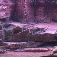 רקע תלת מימד סלעי דגם קיסאר 148X58 אקווריסטיק - Aquarium Rocky 3D background Model Caesar
