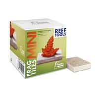 אריחים לפראגים פאונה מארין  במידה 50×50 מ