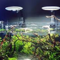 גוף תאורה זטלייט UFO 50W/90W לאקווריום צמחיה- Zetlight UFO Plants Aquarium 55W/90W Light
