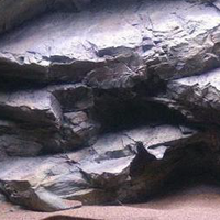 רקע תלת מימד סלעי דגם סומטרה 299X78 אקווריסטיק Aquarium Rocky 3D background Model Sumatra