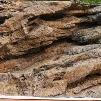 רקע תלת מימד סלעי דגם מאלוקו 148X58 אקווריסטיק Aquarium Rocky 3D background Model Maluku