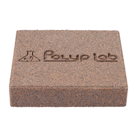 מדיות ג'נסיס רוק פוליפ לאב 2 יחידות - Polyp lab Genesis Rock Media Bio Block 2 units