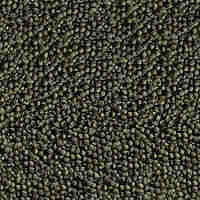 סרה גולדי קולור ספירולינה נייצ'ר 1000 מ”ל - Sera Goldy Color Spirulina Nature 1000 ML
