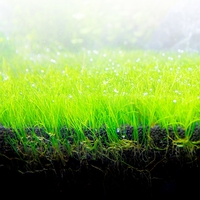 מצע לאקווריום צמחיה פלובל ביו סטרטום 4 קילו -  Fluval Bio Stratum 4kg
