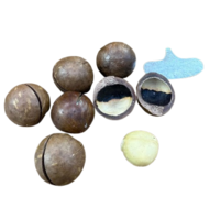 אגוזי מקדמיה