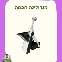מנדולינה חכמה