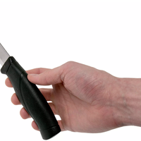 סכין מורה קומפניון אלחלד משודרגת, שחור - Morakniv Companion HD