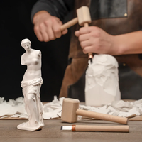 ערכת פיסול באבן ( גבס) למתחילים - ונוס ממילו BEAVERCRAFT