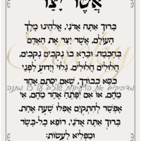 אשר יצר