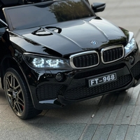 bmw 12v X6