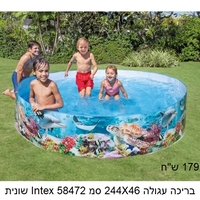 מגוון בריכות ומוצרי קיץ