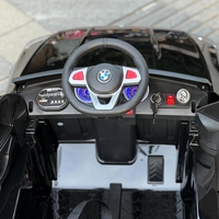 bmw 12v X6