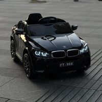 bmw 12v X6