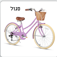 אופני  STYLE וינטיג'  24 - הילוכים