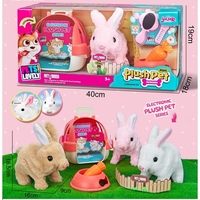 ארנב + מלונה וערכת טיפוח