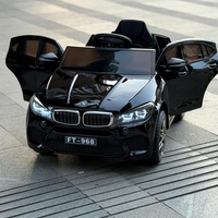 bmw 12v X6