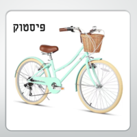 אופני  STYLE וינטיג'  24 - הילוכים