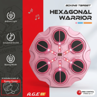 מתקן איגרוף BOXING Hexagonal Warrior - ורוד