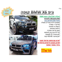 bmw 12v X6